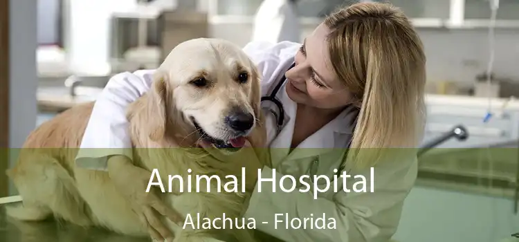 Animal Hospital Alachua - Florida