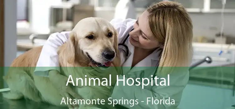 Animal Hospital Altamonte Springs - Florida