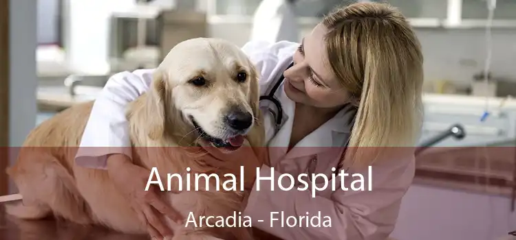 Animal Hospital Arcadia - Florida