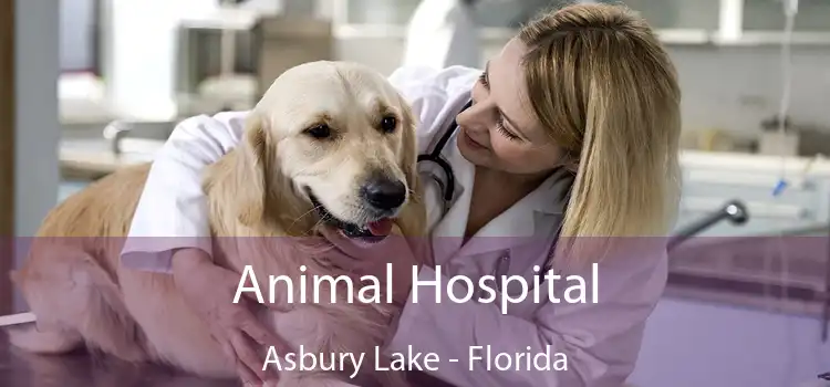 Animal Hospital Asbury Lake - Florida