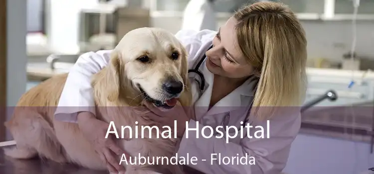 Animal Hospital Auburndale - Florida