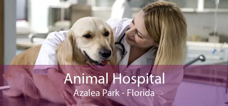 Animal Hospital Azalea Park - Florida