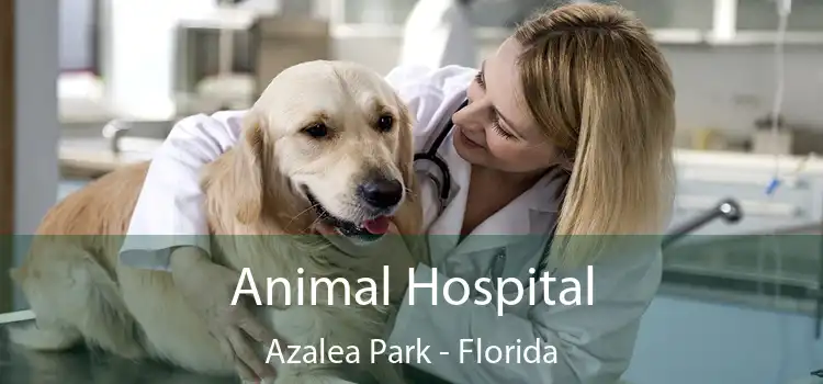 Animal Hospital Azalea Park - Florida