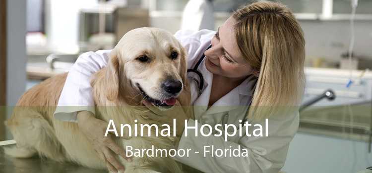 Animal Hospital Bardmoor - Florida