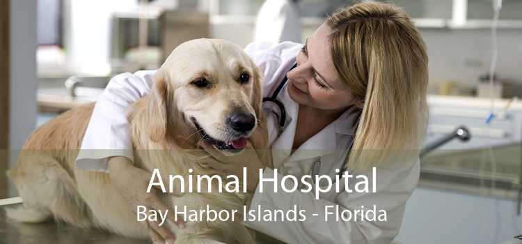 Animal Hospital Bay Harbor Islands - Florida