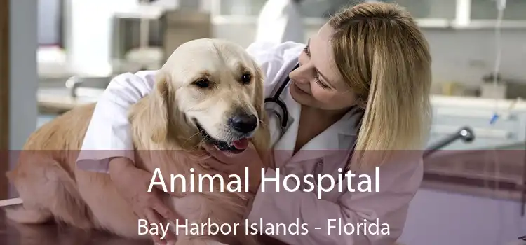 Animal Hospital Bay Harbor Islands - Florida