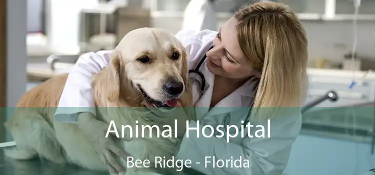 Animal Hospital Bee Ridge - Florida