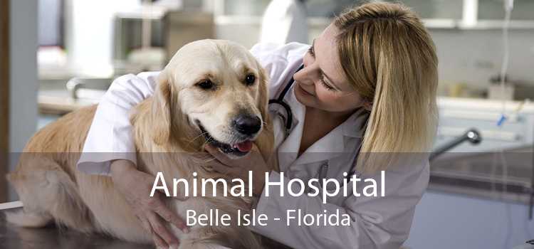 Animal Hospital Belle Isle - Florida