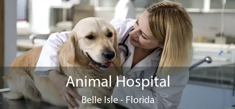 Animal Hospital Belle Isle - Florida