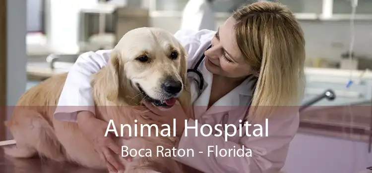 Animal Hospital Boca Raton - Florida