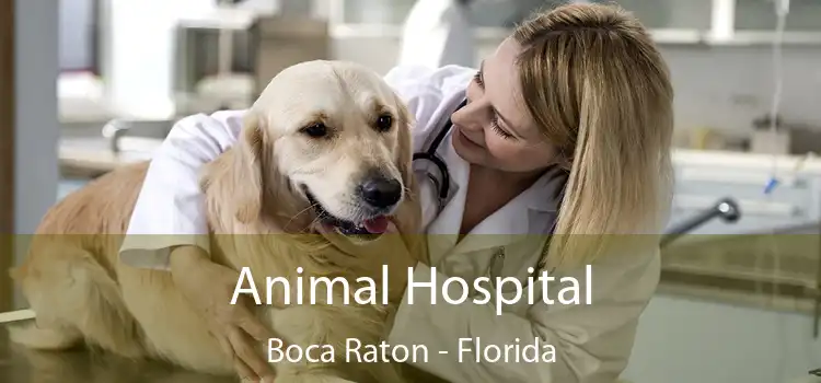 Animal Hospital Boca Raton - Florida