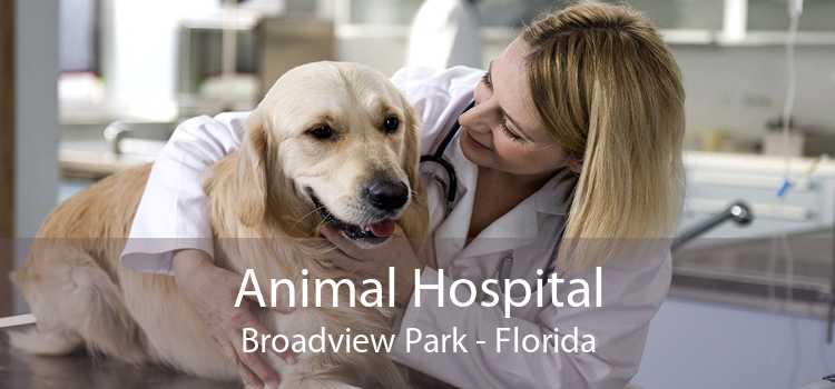 Animal Hospital Broadview Park - Florida