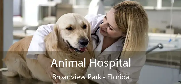 Animal Hospital Broadview Park - Florida