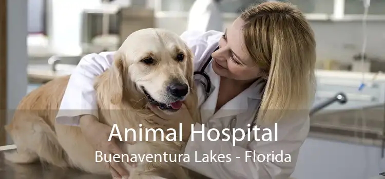 Animal Hospital Buenaventura Lakes - Florida