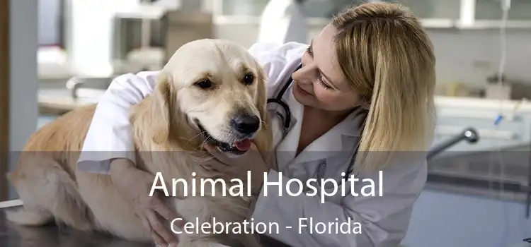 Animal Hospital Celebration - Florida