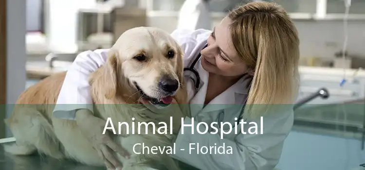 Animal Hospital Cheval - Florida