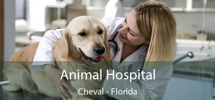 Animal Hospital Cheval - Florida