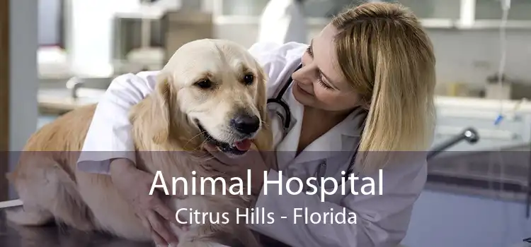 Animal Hospital Citrus Hills - Florida