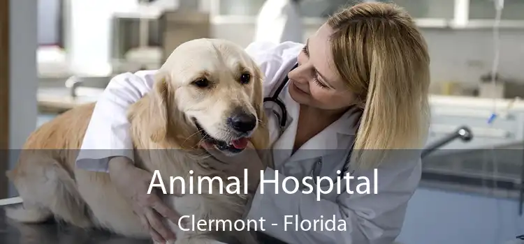 Animal Hospital Clermont - Florida