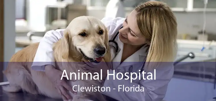 Animal Hospital Clewiston - Small, Affordable, And Emergency Animal Hospital