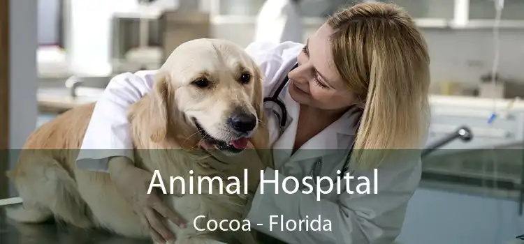 Animal Hospital Cocoa - Florida