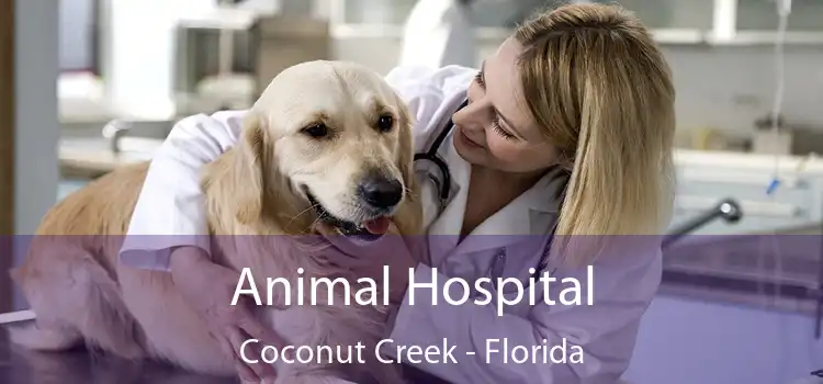 Animal Hospital Coconut Creek - Florida