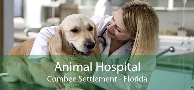Animal Hospital Combee Settlement - Florida