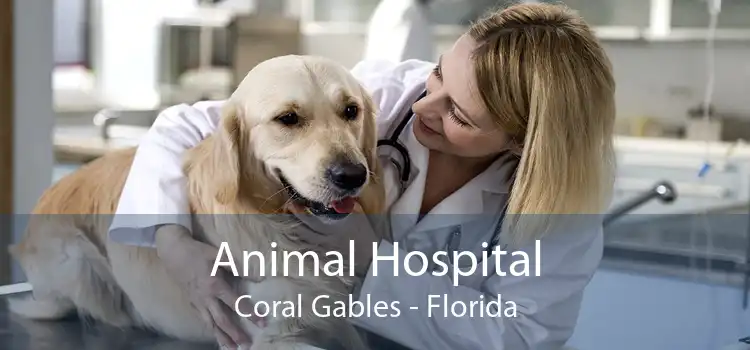 Animal Hospital Coral Gables - Florida