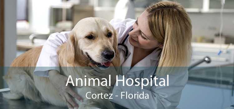 Animal Hospital Cortez - Florida