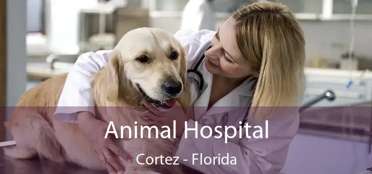 Animal Hospital Cortez - Florida