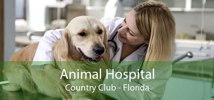 Animal Hospital Country Club - Florida
