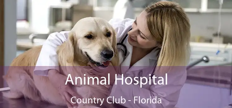 Animal Hospital Country Club - Florida