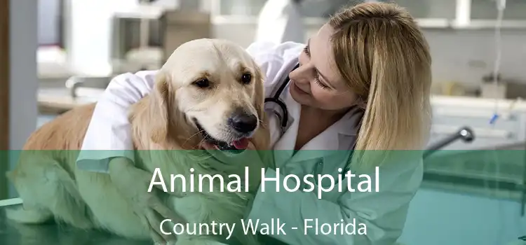 Animal Hospital Country Walk - Florida