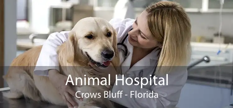 Animal Hospital Crows Bluff - Florida