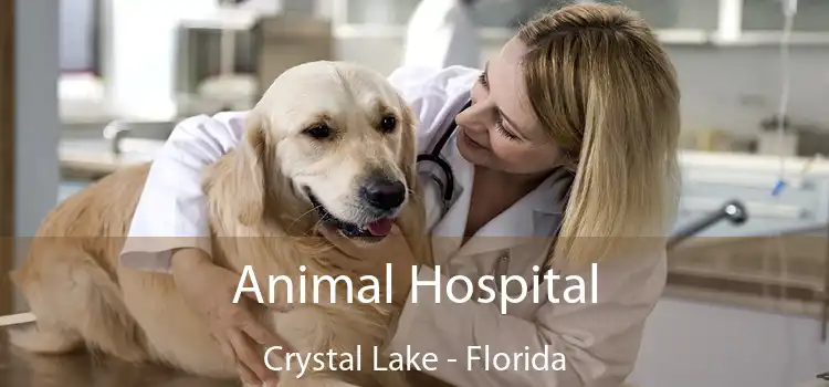 Animal Hospital Crystal Lake - Florida