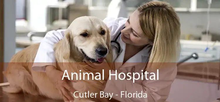 Animal Hospital Cutler Bay - Florida