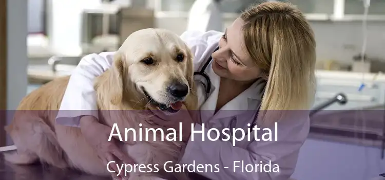 Animal Hospital Cypress Gardens - Florida