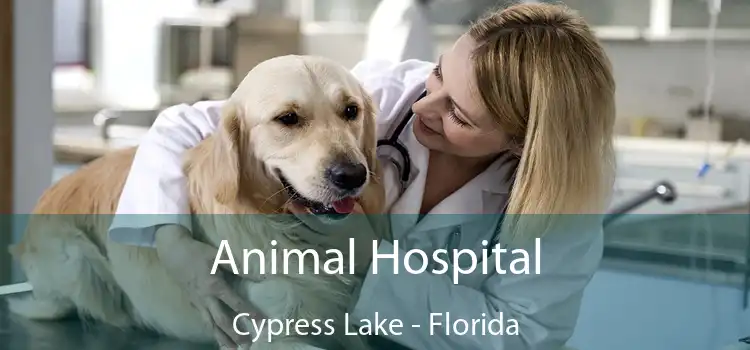 Animal Hospital Cypress Lake - Florida