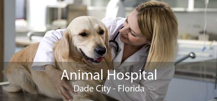 Animal Hospital Dade City - Florida