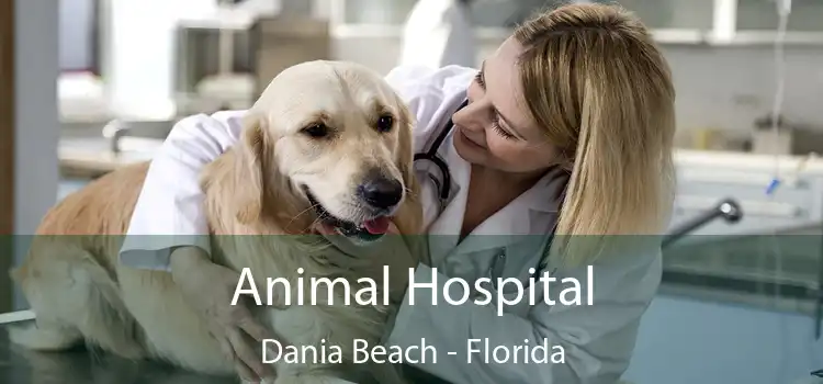 Animal Hospital Dania Beach - Florida