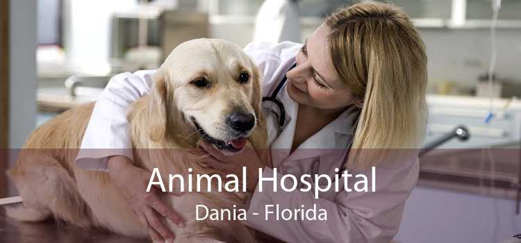 Animal Hospital Dania - Florida