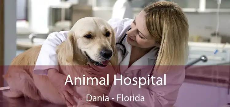 Animal Hospital Dania - Florida