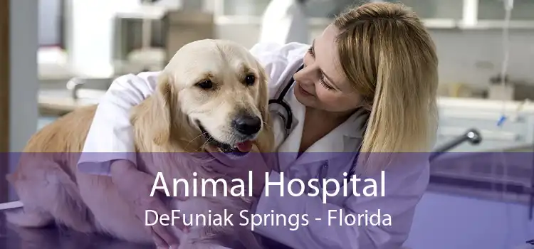 Animal Hospital DeFuniak Springs - Florida