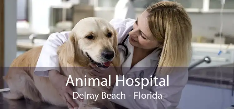 Animal Hospital Delray Beach - Florida