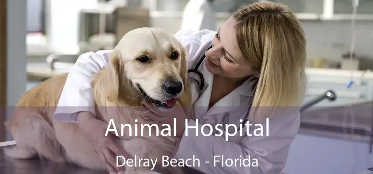 Animal Hospital Delray Beach - Florida