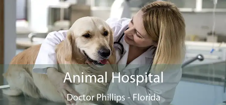 Animal Hospital Doctor Phillips - Florida