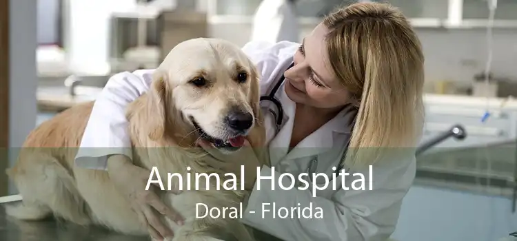Animal Hospital Doral - Florida