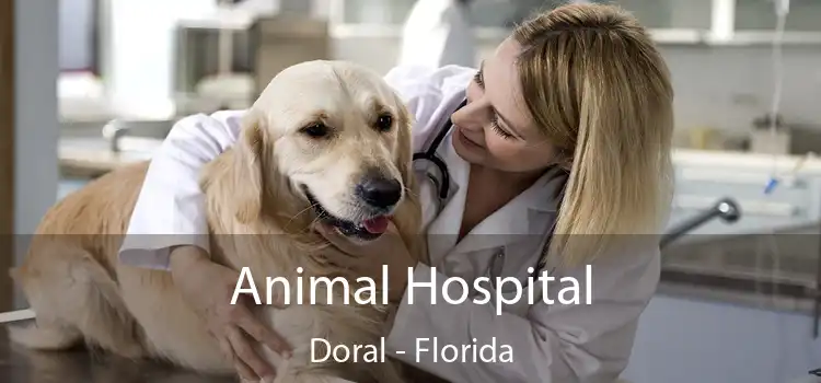 Animal Hospital Doral - Florida