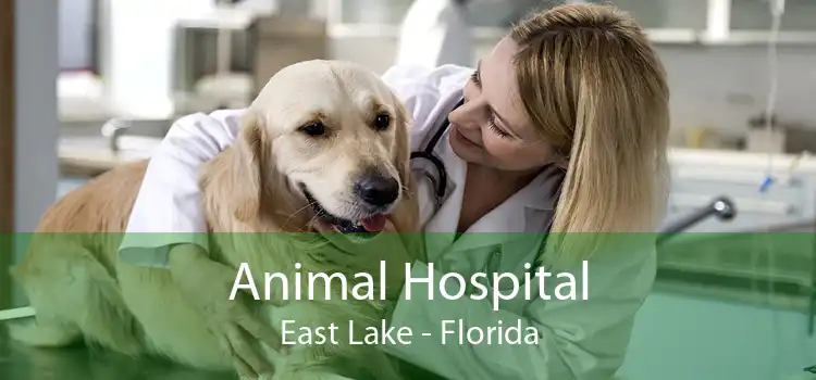 Animal Hospital East Lake - Florida