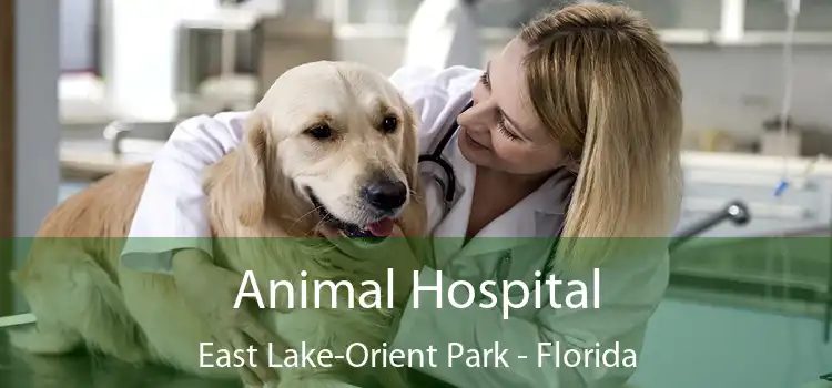 Animal Hospital East Lake-Orient Park - Florida